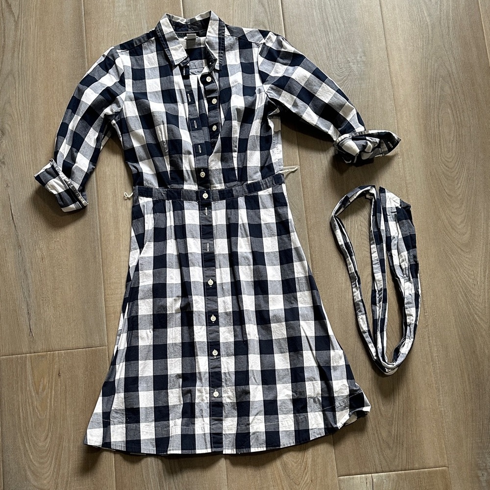 J. Crew Navy and White Gingham Dress